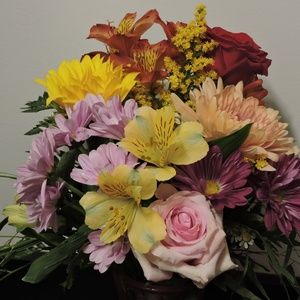 Meet your Posher, Diana